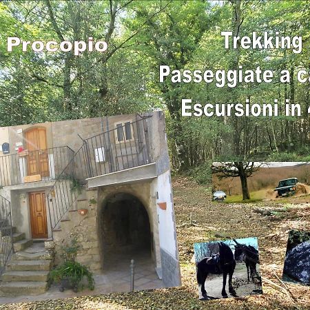 Affitta Camere San Procopio Troina Exteriér fotografie